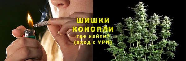 стаф Инсар