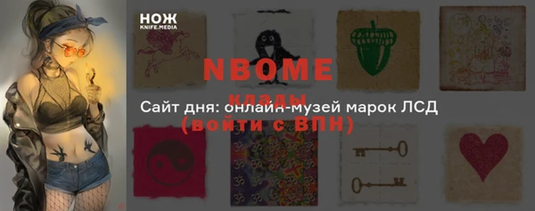 стаф Инсар
