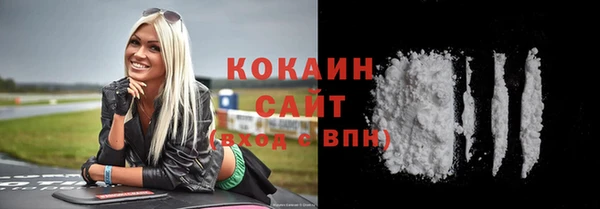 стаф Инсар