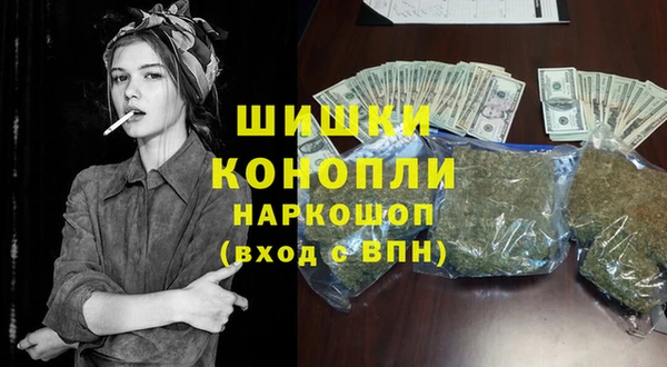 стаф Инсар
