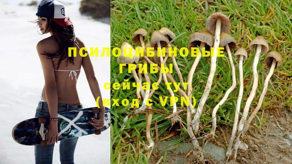 стаф Инсар