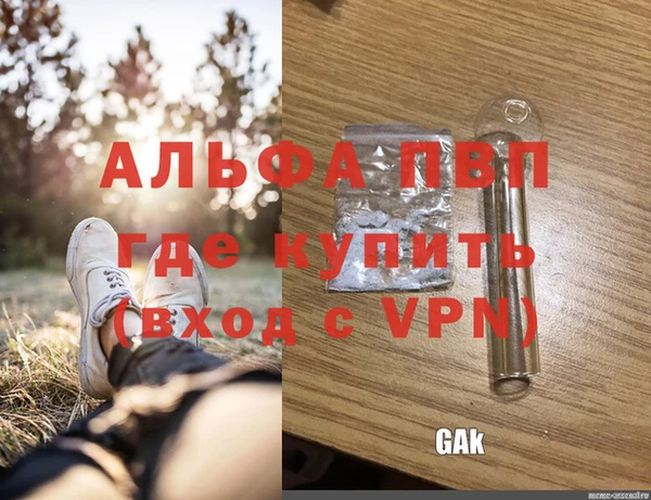 стаф Инсар