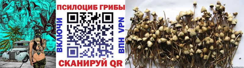 Купить закладки Переславль-Залесский Псилоцибиновые грибы прущие грибы